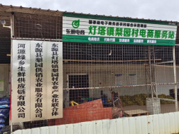 灯塔镇梨园村电商服务站点
